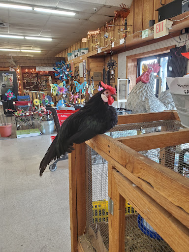 Hardware Store «True Value Hardware Store», reviews and photos, 501 Bastrop Hwy, Austin, TX 78741, USA