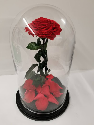 The Chocolate Rose, 1609 S Richey St, Pasadena, TX 77502, USA, 