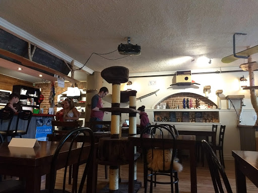 Internet cafe Québec