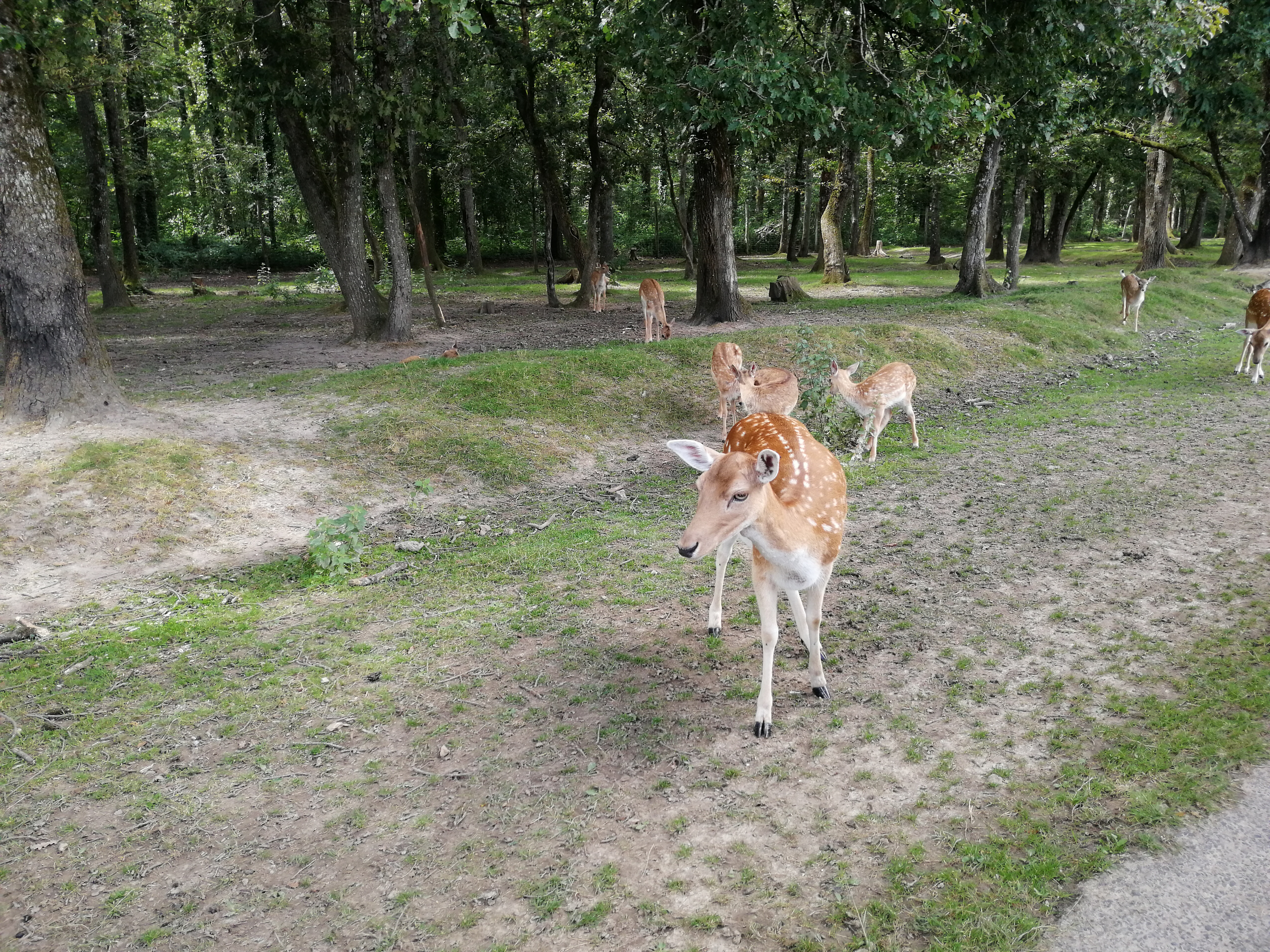 Photo n° 1 de l'avis de Yann.a fait le 25/12/2023 à 18:30