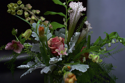 Florist «Moss Pink Flora», reviews and photos, 4615 E 23rd Ave, Denver, CO 80207, USA