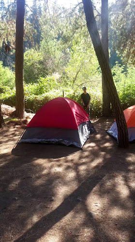 Opiniones de Camping Flor De CARMEN en Río Claro - Camping