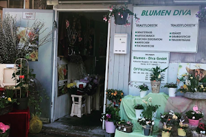 Blumen-Diva GmbH