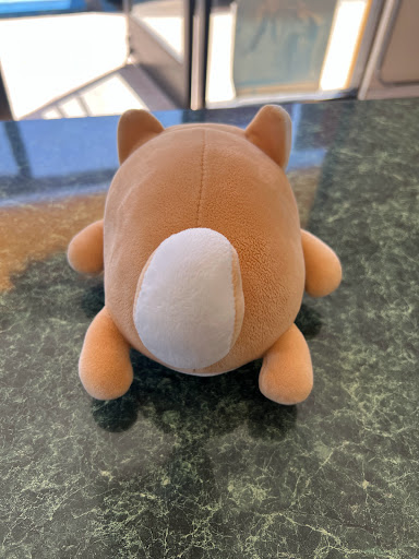 Dry Cleaner «NEXTGEN Cleaners», reviews and photos, 1574 Branham Ln, San Jose, CA 95118, USA