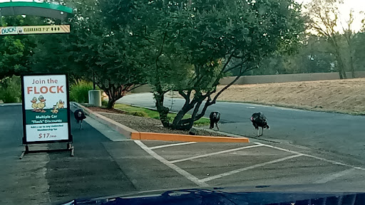 Car Wash «Quick Quack Car Wash - Citrus Heights», reviews and photos, 8017 Greenback Ln, Citrus Heights, CA 95610, USA