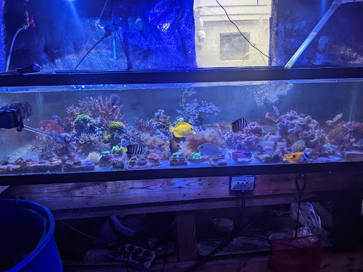 Pet Store «Fish Geeks», reviews and photos, 5845 Hillside Ln, Mechanicsburg, PA 17050, USA