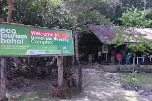 Bohol Biodiversity Complex image