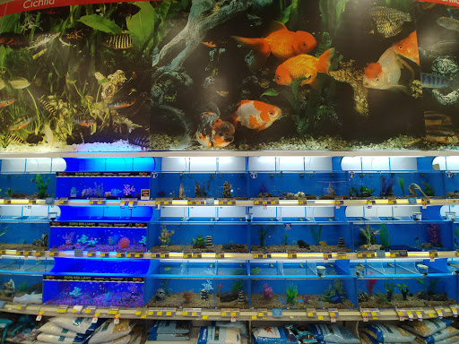 Pet Supply Store «PetSmart», reviews and photos, 11331 Causeway Blvd, Brandon, FL 33511, USA