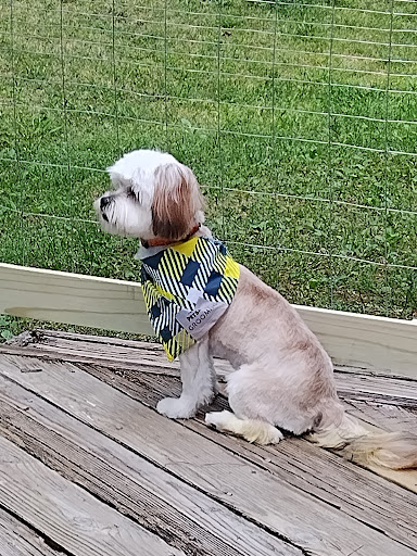 Pet Supply Store «PetSmart», reviews and photos, 860 Cobb Pl Blvd NW, Kennesaw, GA 30144, USA