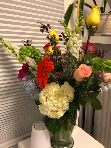 Florist «Dillon-Chapin Inc», reviews and photos, 161 White St, Hartford, CT 06114, USA