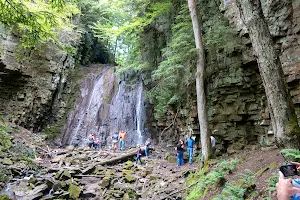 Foxes Falls image