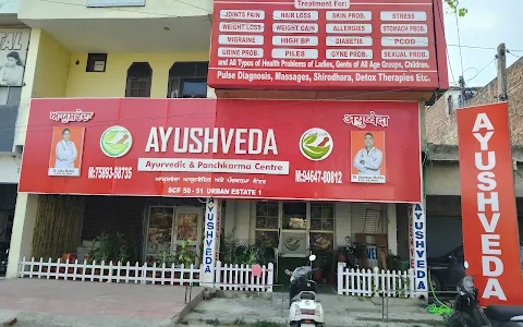 Ayushveda - Ayurvedic & Panchkarma Centre image
