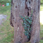 Photo n° 30 de l'avis de Corinthe.. fait le 17/07/2019 à 18:56 pour Jardin en Hommage à Jacques Prevert à La Hague