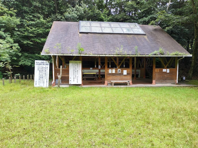 政の茶屋園地 もみじ広場