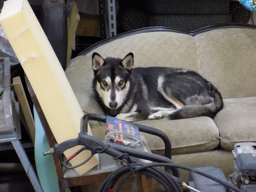 Upholstery Shop «Rocky Mountain Upholstery Company», reviews and photos, 629 S 29th St, Colorado Springs, CO 80904, USA