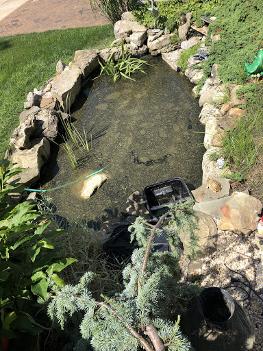 Tropical Fish Store «Aquarium Design Network», reviews and photos, 296 E Jericho Turnpike, Huntington Station, NY 11746, USA