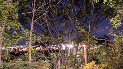 Theme Park «Tiki Action Park», reviews and photos, 1878 Middle Country Rd, Centereach, NY 11720, USA