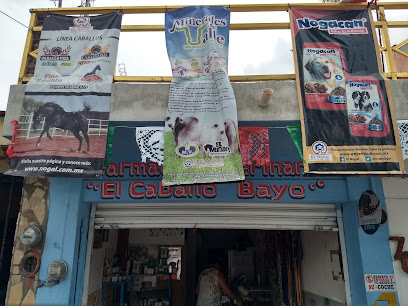 Farmacia Veterinaria El Caballo Bayo, , San Antonio Buenavista