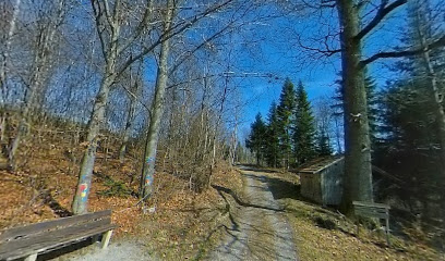 Tierferienhof Bärenmoos