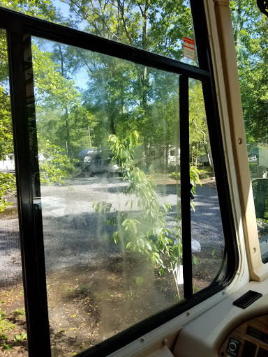 Campground «Holly Shores Camping Resort», reviews and photos, 491 U.S. 9, Cape May, NJ 08204, USA