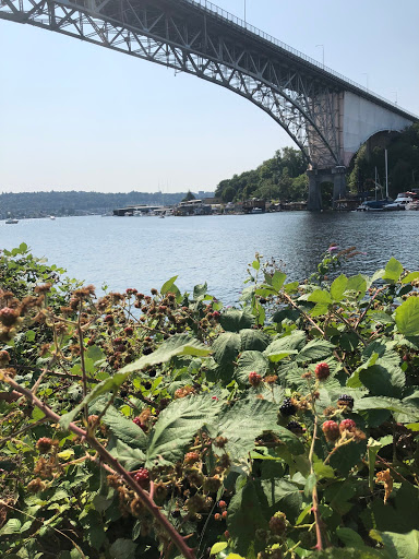 Tourist Attraction «Fremont Troll», reviews and photos, Troll Ave N, Seattle, WA 98103, USA