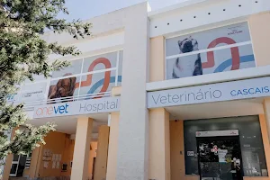 CASVET Veterinary Hospital image