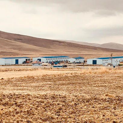 AK TARIM VE BESİCİLİK A.Ş