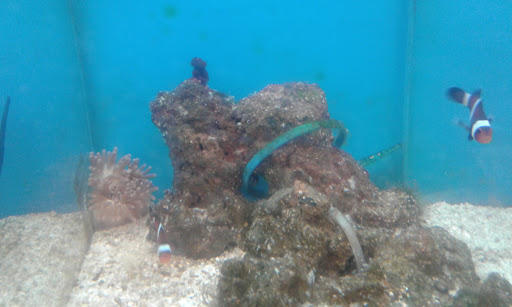 Pet Supply Store «Petco Animal Supplies», reviews and photos, 3430 W State St, Grand Island, NE 68803, USA