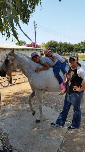 Pet Supply Store «Bradshaw Feed & Pet Supply», reviews and photos, 7285 Bradshaw Rd, Sacramento, CA 95829, USA