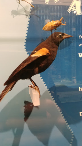 Science Museum «Kentucky Science Center», reviews and photos, 727 W Main St, Louisville, KY 40202, USA