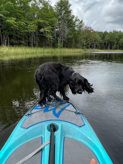 Paddle Maine