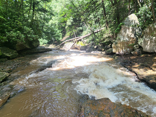 Park «Natural Water Slides», reviews and photos, PA-381, Ohiopyle, PA 15470, USA