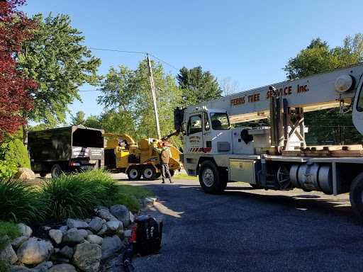 Ferris Tree Services