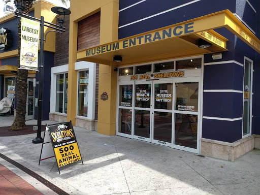 Museum «SKELETONS: Museum Of Osteology», reviews and photos, 8441 International Dr Suite 250, Orlando, FL 32819, USA