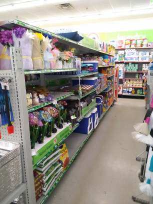 Dollar Store «FAMILY DOLLAR», reviews and photos, 599 Dickerson Ln, Falmouth, KY 41040, USA