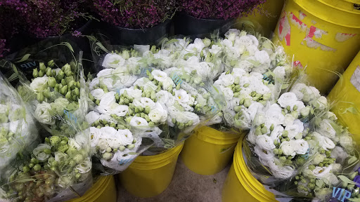 Florist «Nordlie Inc, - Detroit», reviews and photos, 25300 Guenther, Warren, MI 48091, USA