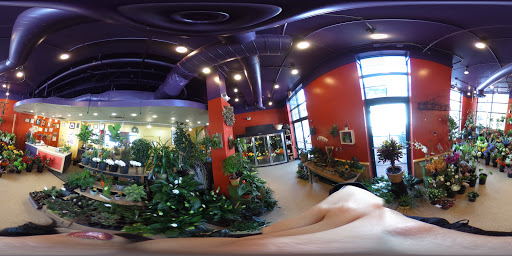 Florist «Little Shop of Flowers», reviews and photos, 2421 18th St NW, Washington, DC 20009, USA