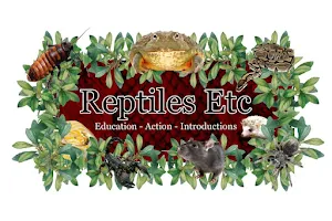 Reptiles Etc image