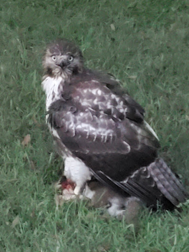 Banquet Hall «Cherokee Run Golf Club», reviews and photos, 1595 Centennial Olympic Pkwy, Conyers, GA 30013, USA