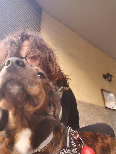 Pensioni per cani e dog hotel a Clinica Veterinaria San Rocco