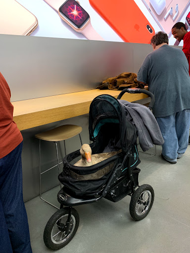 Computer Store «Apple Short Pump Town Center», reviews and photos, 11800 W Broad St, Henrico, VA 23233, USA