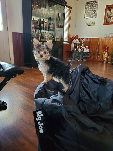 Pet Supply Store «PetSmart», reviews and photos, 350 Fifth St, Oswego, IL 60543, USA