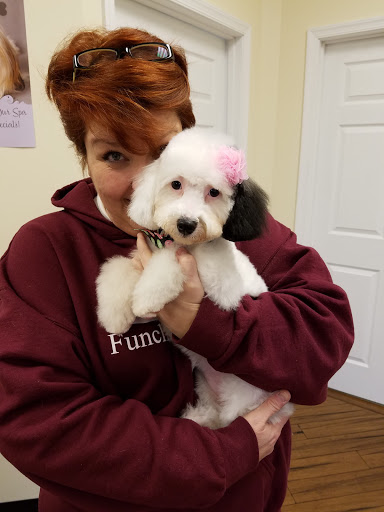 Pet Store «Puppy City», reviews and photos, 3343 Valley Pike, Winchester, VA 22602, USA