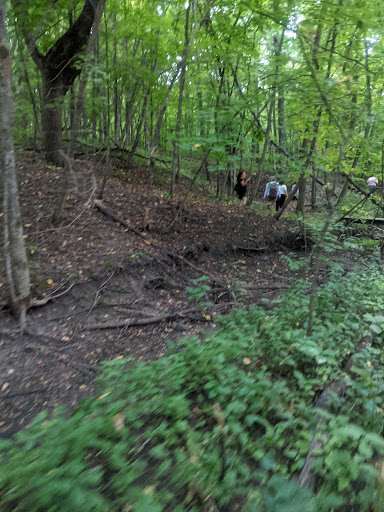 Park «Baker Park Reserve - Near-Wilderness Settlement», reviews and photos, 4001 County Rd 24, Maple Plain, MN 55359, USA