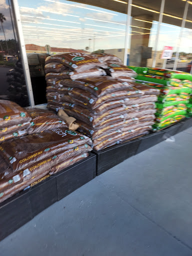 Discount Store «Big Lots», reviews and photos, 923 N 14th St, Leesburg, FL 34748, USA