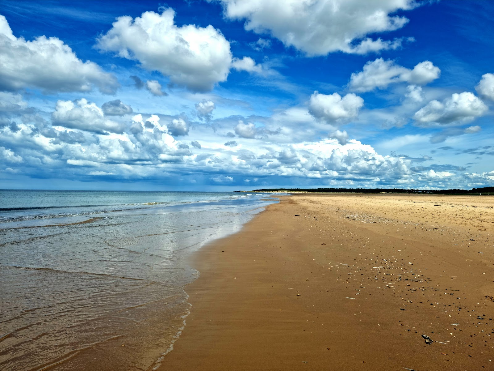 Foto van Holkham beach gelegen in een natuurlijk gebied