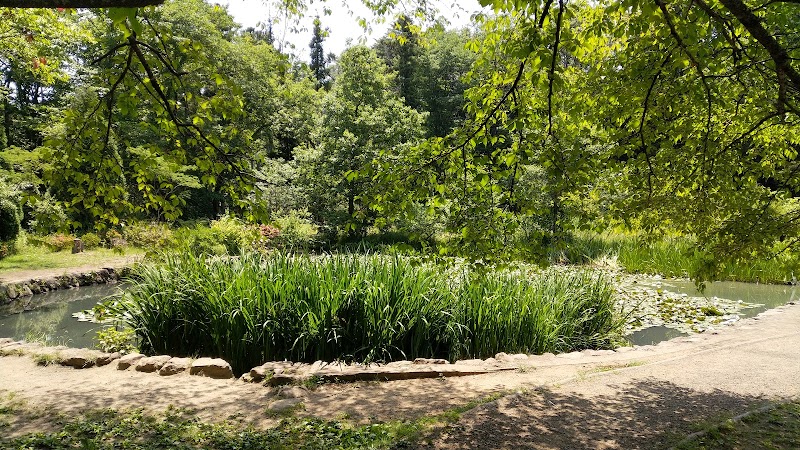 十三塚公園 湿性池