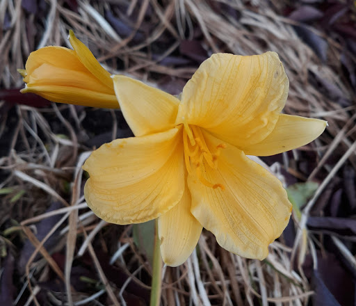 Park «Mount Timpanogos Park», reviews and photos, US-189, Orem, UT 84097, USA