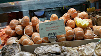 Photos du propriétaire du Restaurant de fruits de mer Les Fruits de la Mer ( La Maison Rousseau) à Lyon - n°14