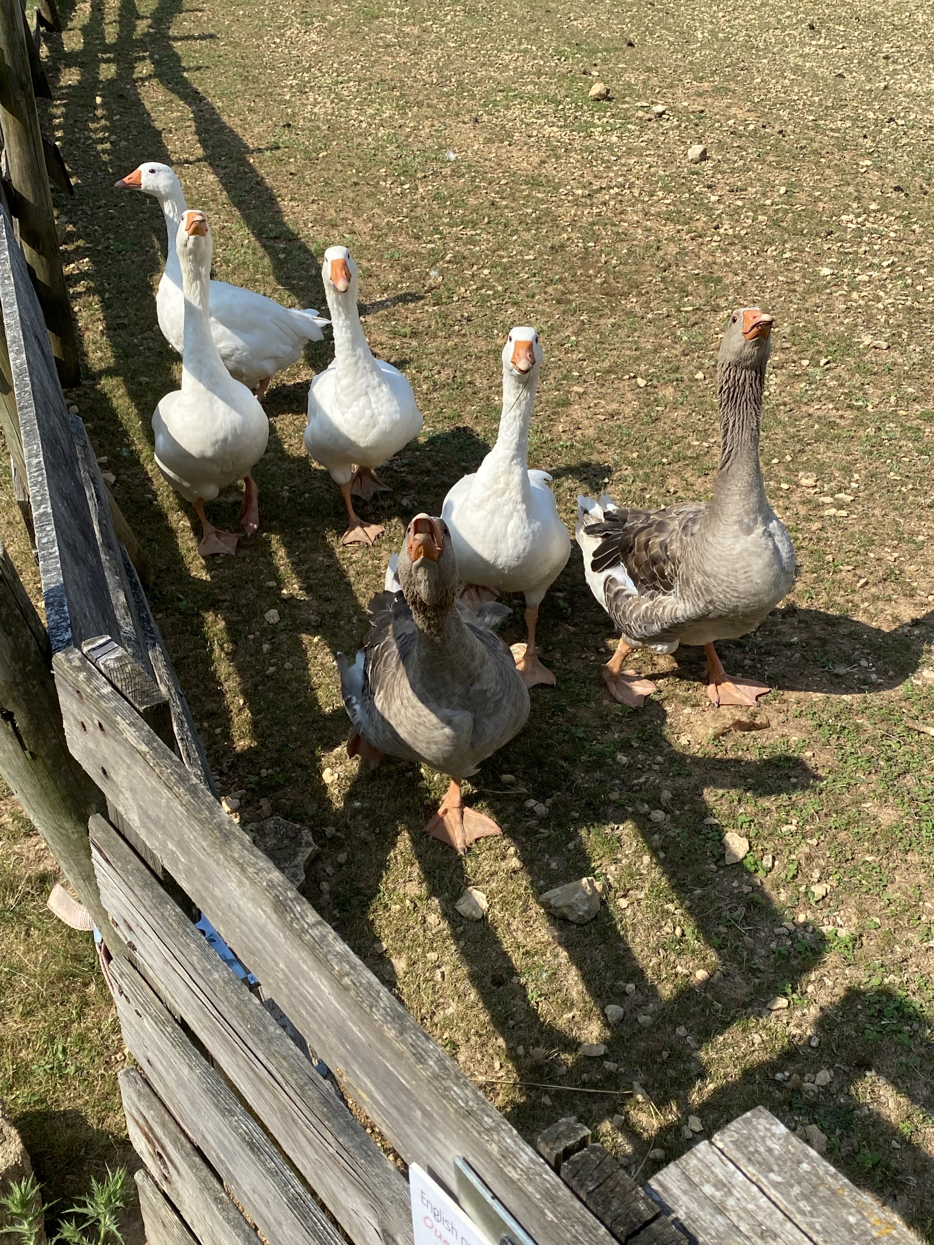 Photo n° 5 de l'avis de Haerion. fait le 12/07/2023 à 07:04